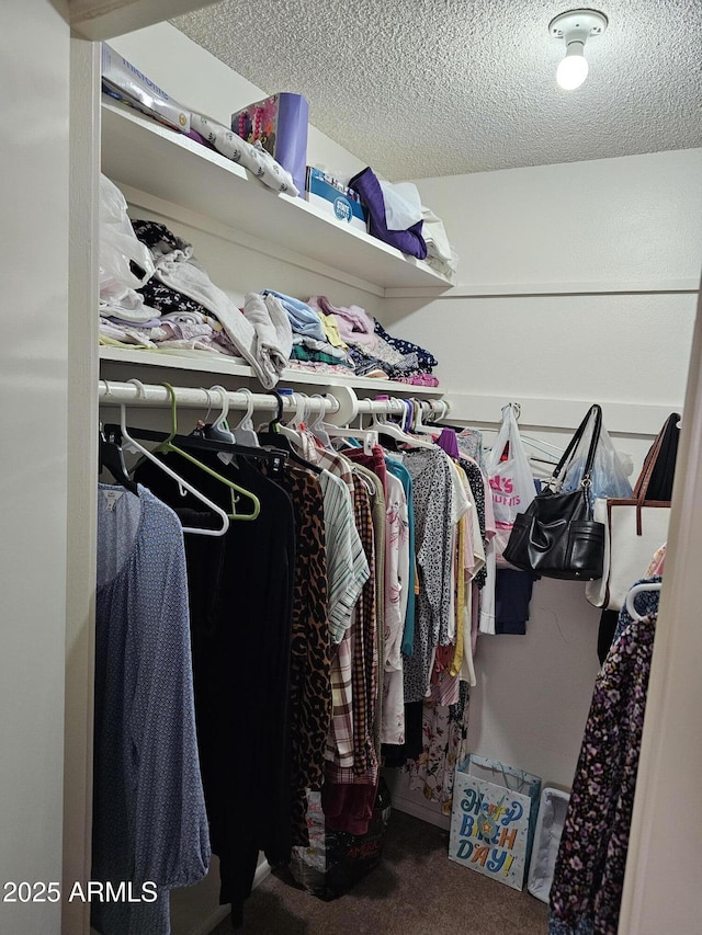 walk in closet featuring carpet flooring