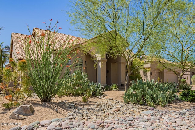 view of front of property featuring stucco siding and a tile roof