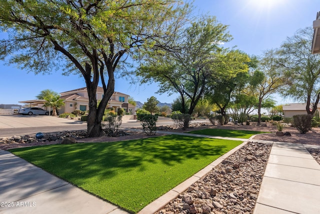 9998 W Prospector Dr, Queen Creek, AZ 85144 - view of green lawn with a residential view