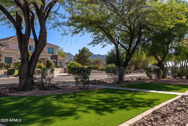 9998 W Prospector Dr, Queen Creek, AZ 85144 - view of community featuring a lawn and a mountain view