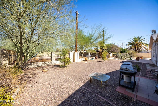 view of yard featuring a patio