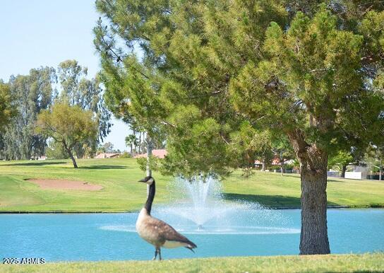 surrounding community featuring a water view and a lawn