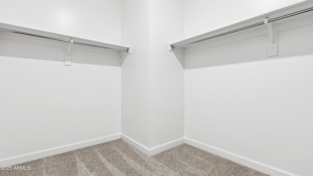 2316 W Moody Trl, Phoenix, AZ 85041 - walk in closet featuring carpet floors
