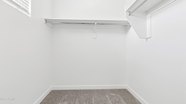 2316 W Moody Trl, Phoenix, AZ 85041 - walk in closet with carpet