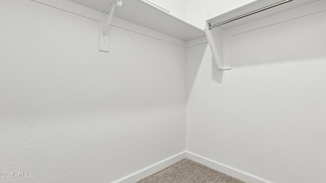 2316 W Moody Trl, Phoenix, AZ 85041 - spacious closet with carpet floors