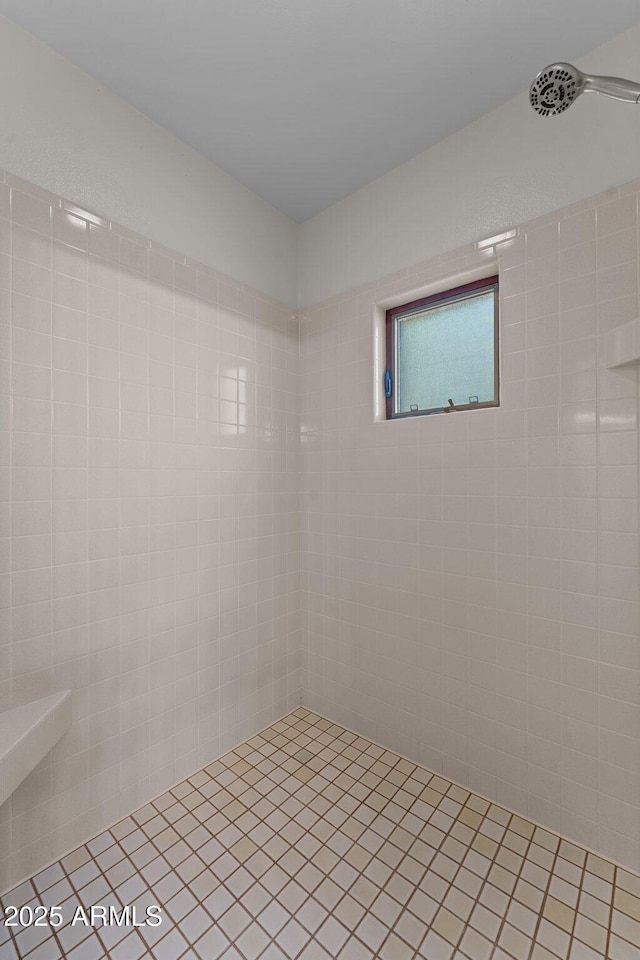 1503 N Thrasher Ln, Wickenburg, AZ 85390 - bathroom with a tile shower