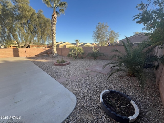 view of yard with a patio area