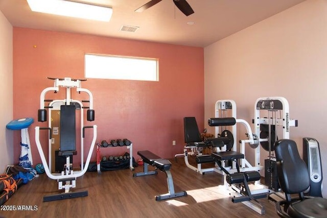 workout room featuring hardwood / wood-style flooring and ceiling fan