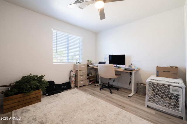 office with light wood finished floors and a ceiling fan