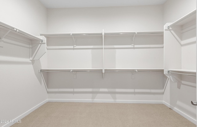 spacious closet with light colored carpet