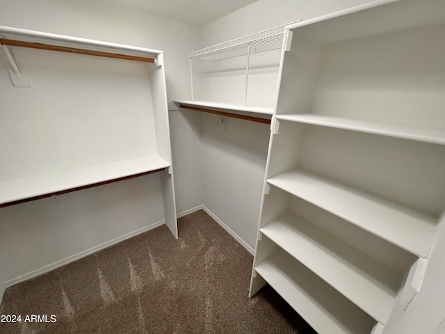 spacious closet featuring dark colored carpet