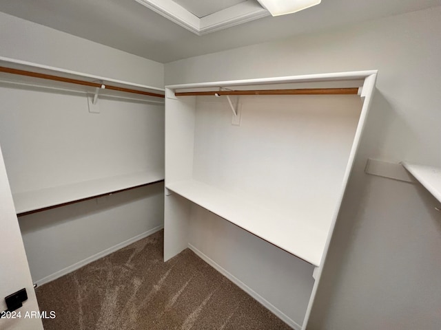 spacious closet featuring carpet flooring