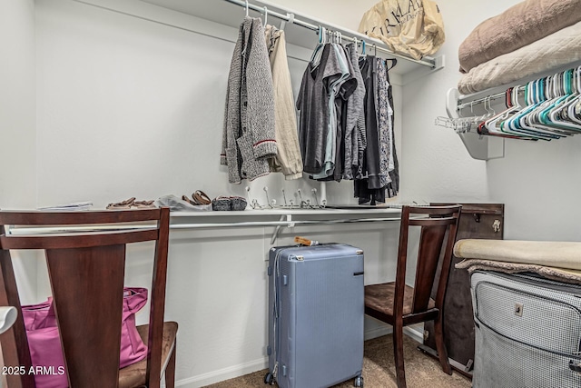 16747 W Berkeley Rd, Goodyear, AZ 85395 - spacious closet featuring carpet flooring