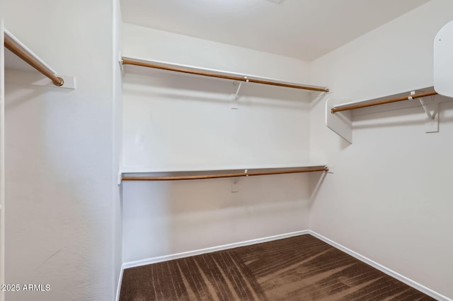 1710 S Parkcrest St, Gilbert, AZ 85295 - spacious closet featuring carpet flooring