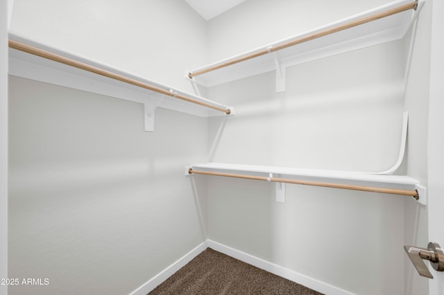 walk in closet with dark carpet