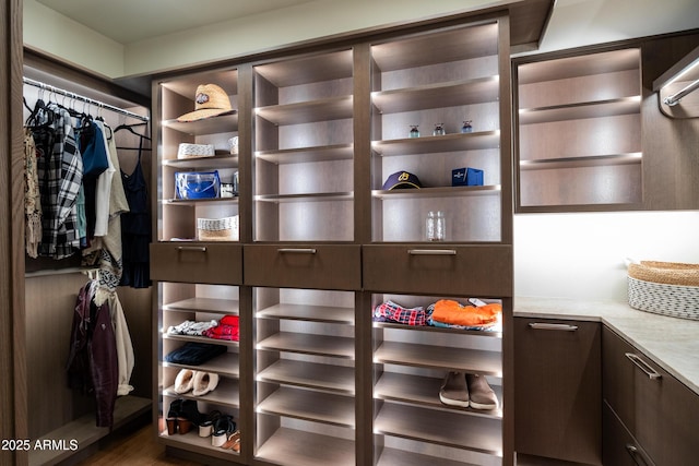 view of walk in closet