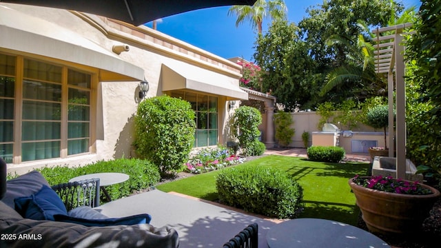 view of patio / terrace featuring an outdoor kitchen