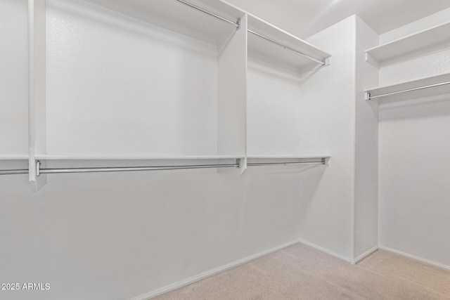 walk in closet featuring carpet flooring