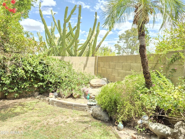 1118 E Orangewood Ave, Phoenix, AZ 85020 - view of fenced backyard