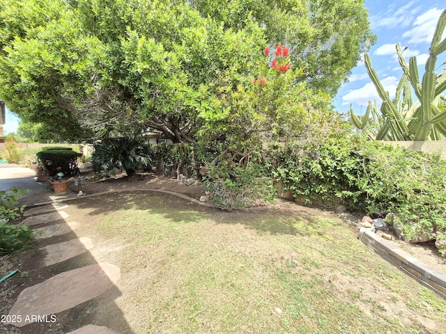 1118 E Orangewood Ave, Phoenix, AZ 85020 - view of yard