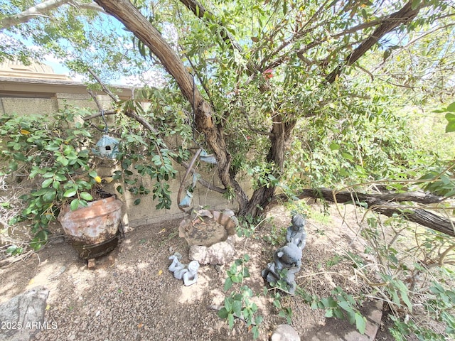 1118 E Orangewood Ave, Phoenix, AZ 85020 - view of yard
