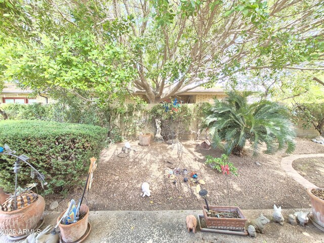 1118 E Orangewood Ave, Phoenix, AZ 85020 - view of yard