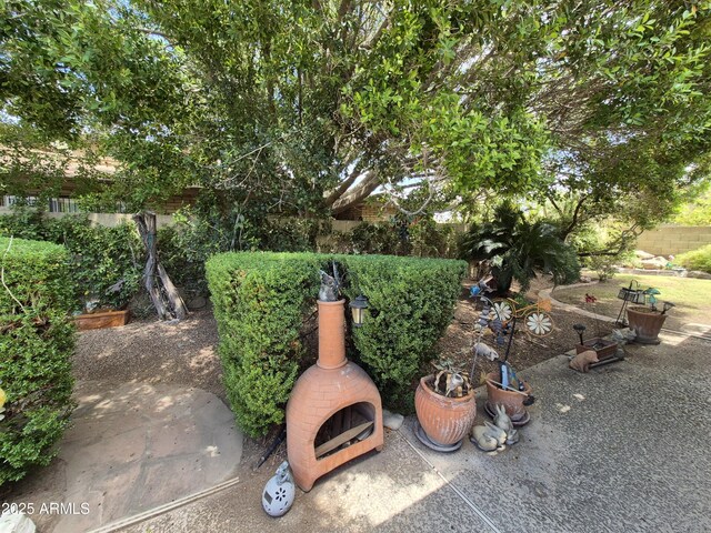 1118 E Orangewood Ave, Phoenix, AZ 85020 - view of yard