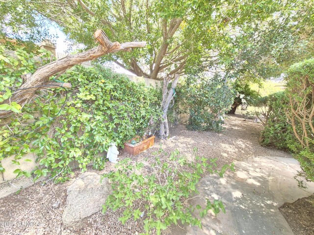 1118 E Orangewood Ave, Phoenix, AZ 85020 - view of yard