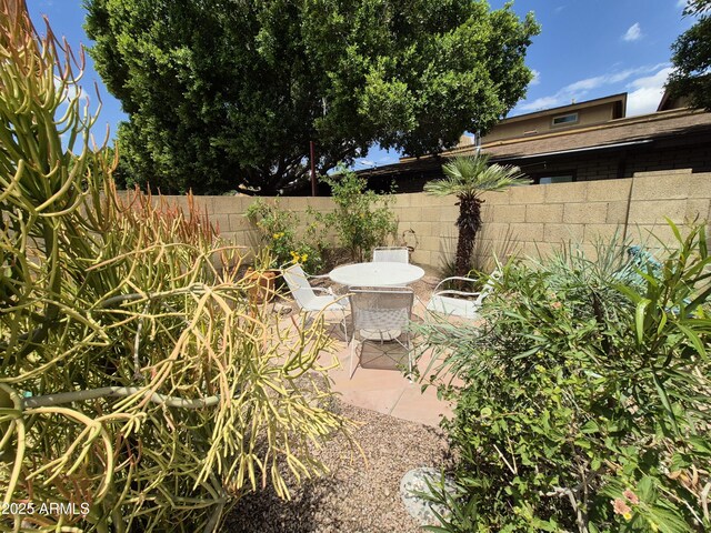 1118 E Orangewood Ave, Phoenix, AZ 85020 - view of yard with a patio