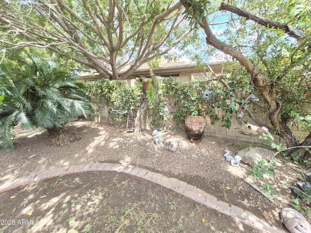 1118 E Orangewood Ave, Phoenix, AZ 85020 - view of yard