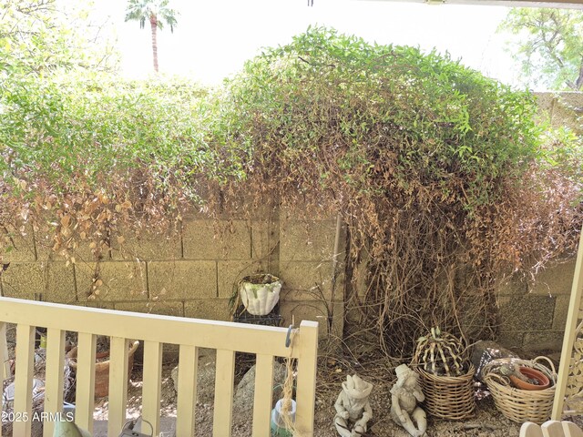 1118 E Orangewood Ave, Phoenix, AZ 85020 - view of yard