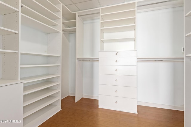 walk in closet featuring wood-type flooring