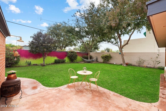 view of yard featuring a patio area