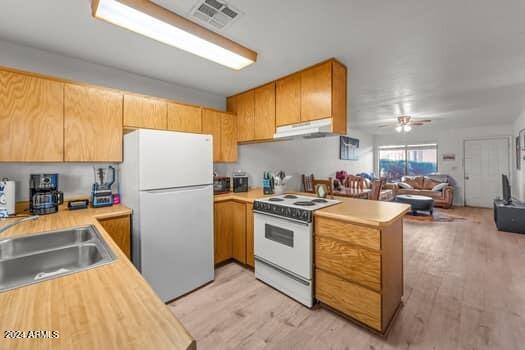 kitchen featuring ceiling fan, sink, light wood-type flooring, and white appliances