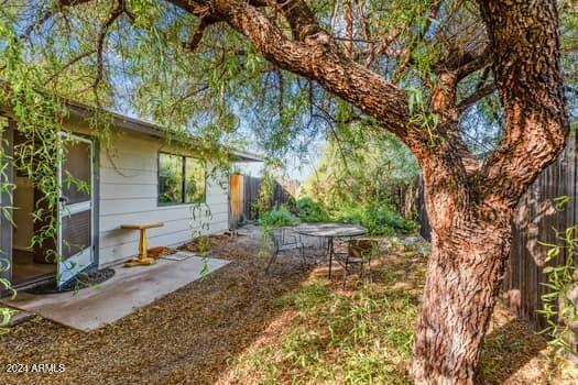 view of yard featuring a patio area