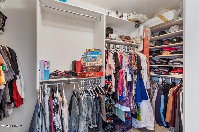 spacious closet with carpet