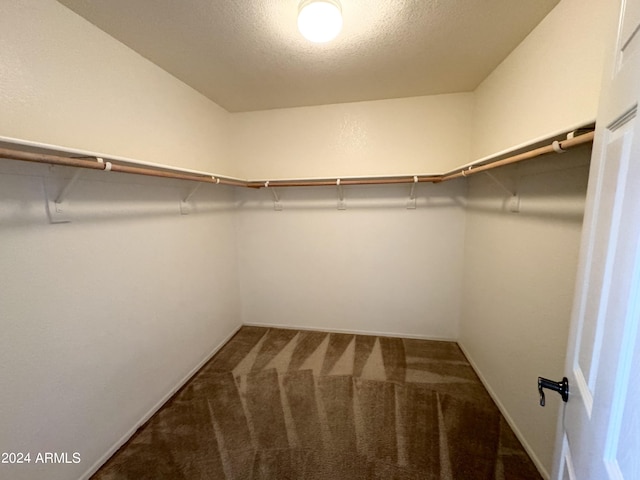 walk in closet featuring carpet flooring