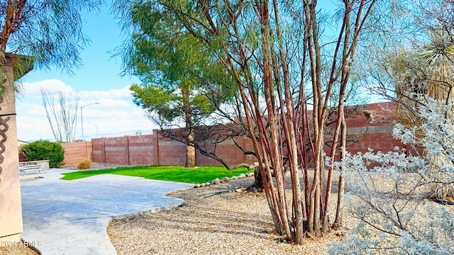 view of yard with a patio area and fence