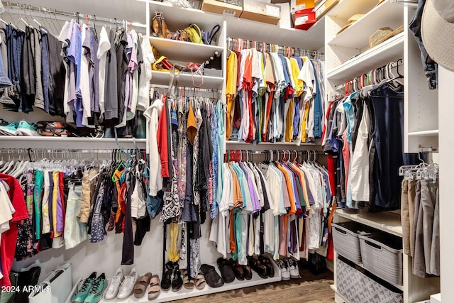 spacious closet featuring wood-type flooring