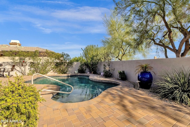 view of swimming pool with a patio