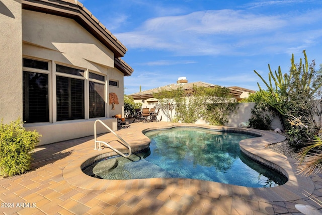 view of swimming pool with a patio