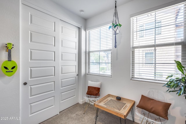 sitting room with carpet flooring, baseboards, and plenty of natural light