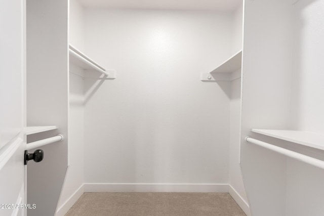 1521 W Jacinto Ave, Mesa, AZ 85202 - walk in closet featuring light colored carpet