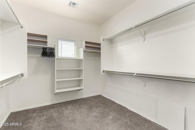 spacious closet with carpet floors and visible vents