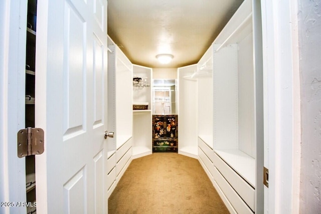 spacious closet featuring light carpet