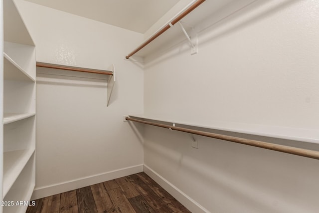 walk in closet with dark wood-type flooring