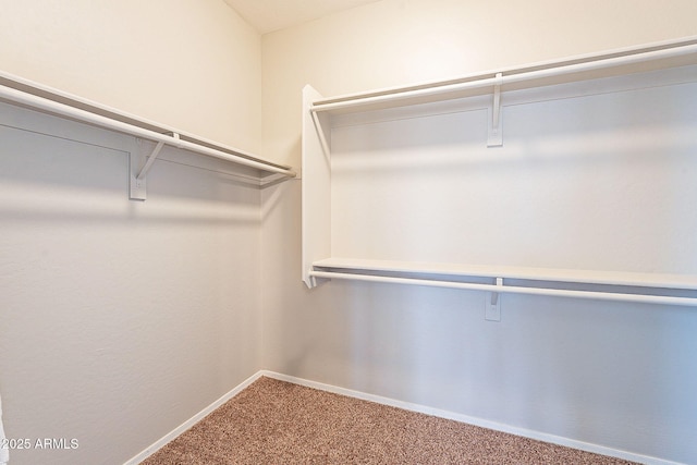 spacious closet with carpet