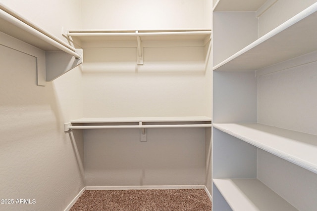 spacious closet featuring carpet