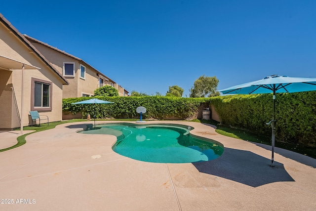 view of pool featuring a fenced in pool, a fenced backyard, and a patio