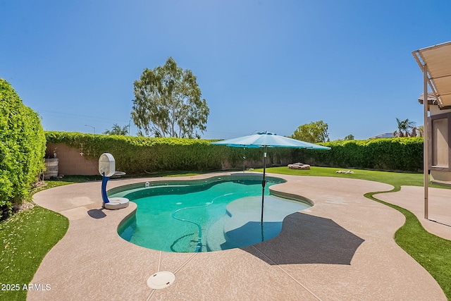 view of pool featuring a patio area, a fenced backyard, and a fenced in pool